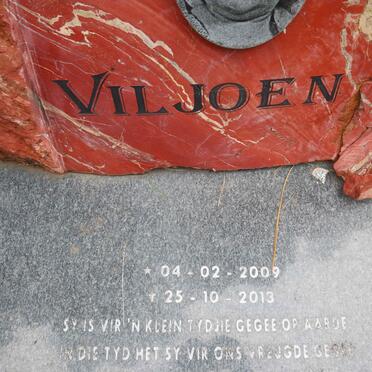 VILJOEN Anchen 2009-2013