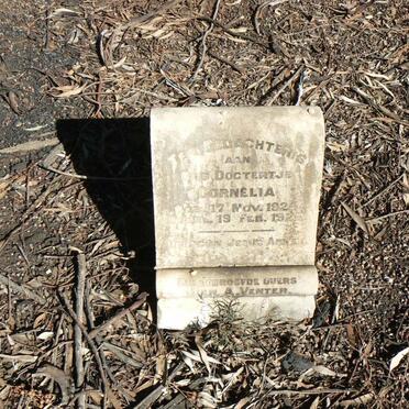 VENTER Cornelia 1924-1925