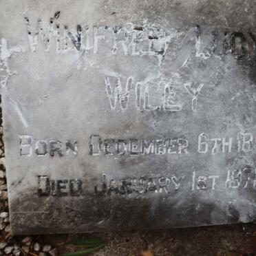 WILEY Winifred Lucy 1890-1971