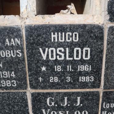 VOSLOO Hugo 1961-1983
