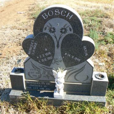 BOSCH Moniques 1978-1992 :: BOSCH Anton 1946-