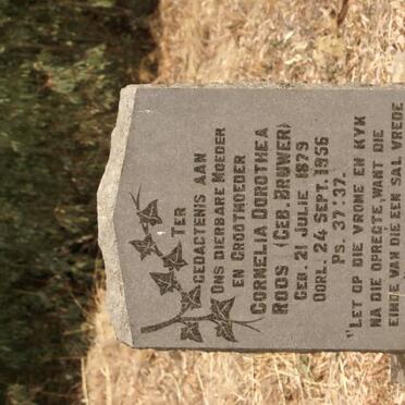 ROOS Cornelia Dorothea nee BRUWER 1879-1956