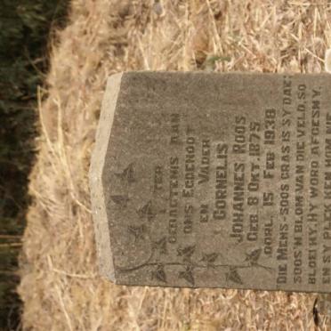 ROOS Cornelis Johannes 1875-1938