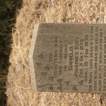 ROOS Cornelis Johannes 1875-1938