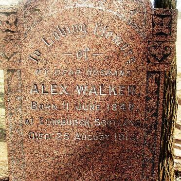 WALKER Alex 1848-1913