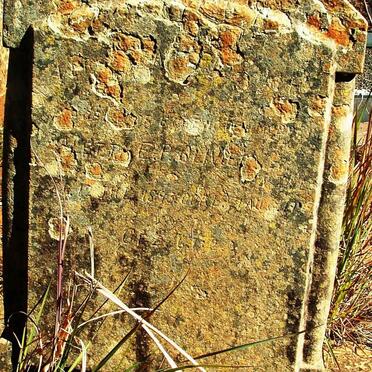 OLIVIER Aletta E.P. 1893-1939