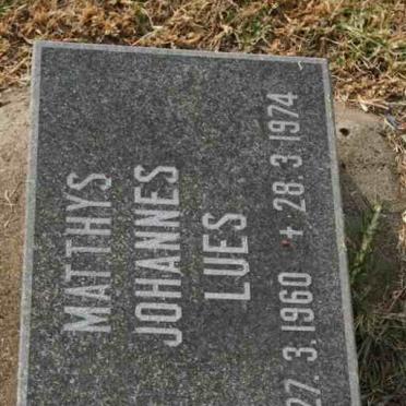 LUES Mathys Johannes 1960-1974