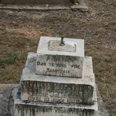 MAREE Johannes Stephanus 1928-1929