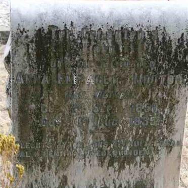 MOUTON Anna Elizabeth nee OLIVIER 1858-1935 _2