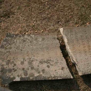 NYE Aletha Catharina nee V.D. MERWE 1873-1924