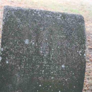 PLESSIS Pieter Hermanus, du 1889-1942