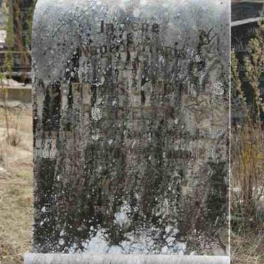 POTGIETER Albertus Johannes 1912-1935