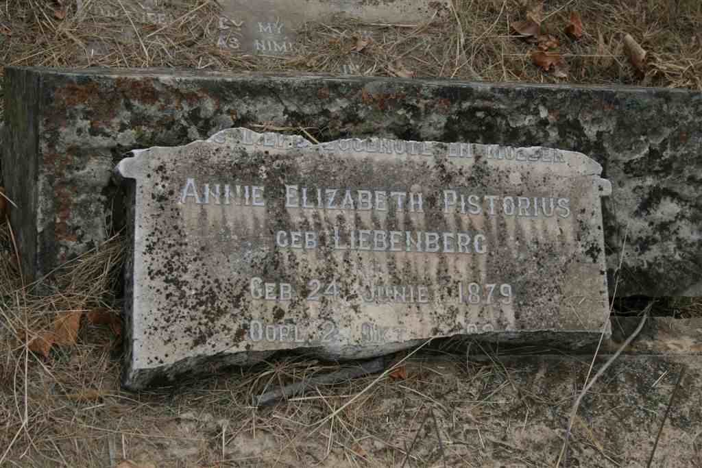 PISTORIUS Annie Elizabeth nee LIEBENBERG 1879-