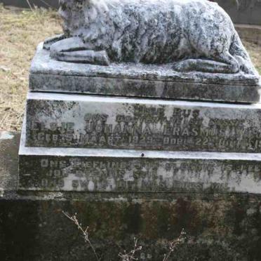 VILJOEN Elsje Johanna Erasmus 1919-1935