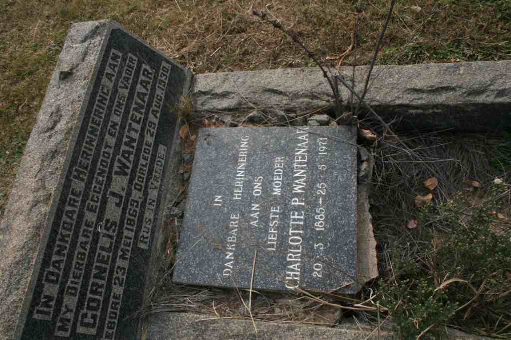 WANTENAAR Cornelis 1869-1930 &amp; Charlotte P. 1885-1971