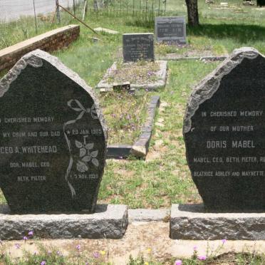 W - Surnames :: Vanne - W