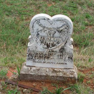 BRUIN Hendrikie Jacobus, de 1920-1920