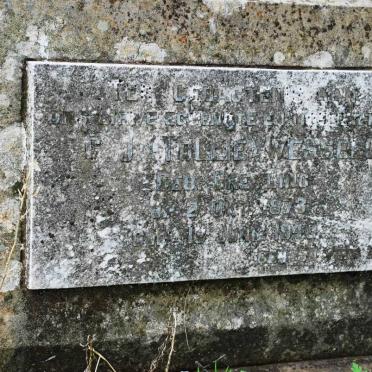 WESSELS ?.J. nee GREYLING 1873-1948