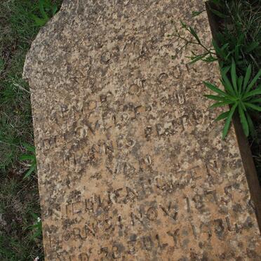 NIEUWENHUIZEN Johannes Petrus, van 1875-1934