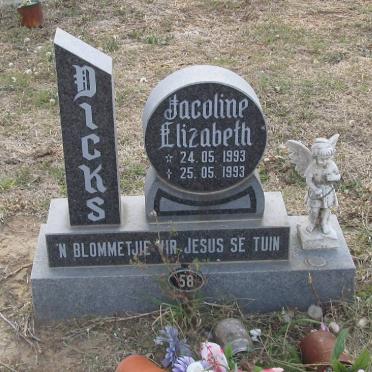 DICKS Jacoline Elizabeth 1993-1993