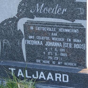 T - Vanne :: Surnames - T