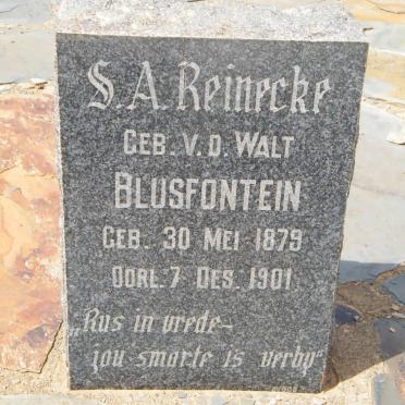 REINECKE S.A. nee V.D.WALT 1879-1901