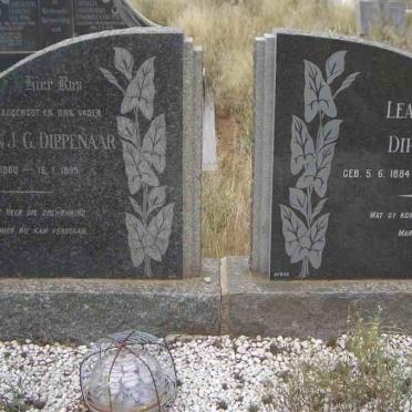 DIPPENAAR Adriaan J.G. 1880-1949 &amp; Lea Jacoba 1884-1977