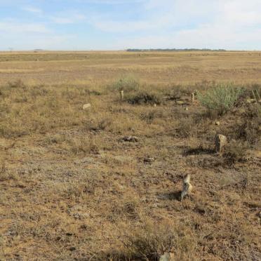 Free State, BLOEMFONTEIN district, De Brug, De Aar 658_1, farm cemetery