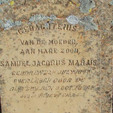 Free State, BLOEMFONTEIN district, Koppieskraal 407, farm cemetery