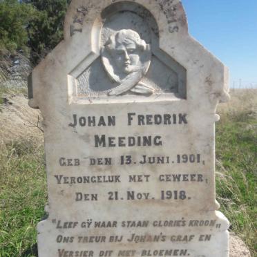 Free State, BOSHOF district, Dealesville, Rosseau 1145, farm cemetery