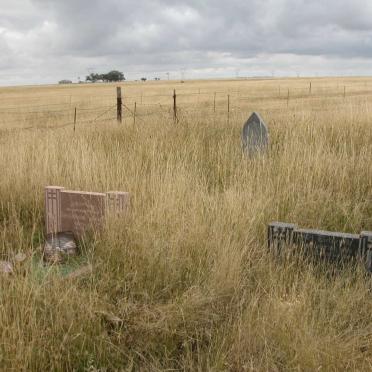 1. Oorsig / Overview