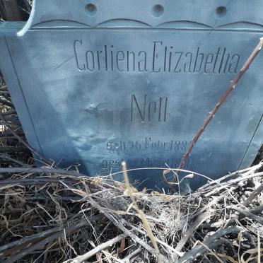 Free State, BOSHOF district, Dealesville, Constantia 751, farm cemetery