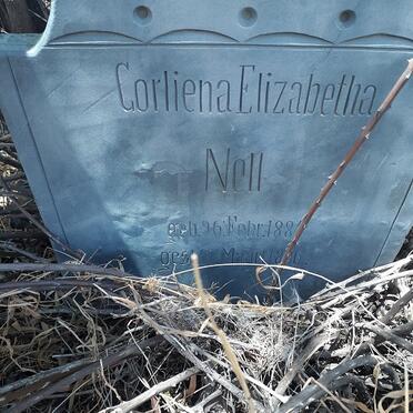 Free State, BOSHOF district, Dealesville, Constantia 751, farm cemetery