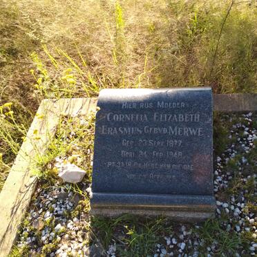 ERASMUS Cornelia Elizabeth nee V.D. MERWE 1877-1948