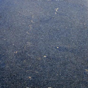 ERASMUS Barend F.J. 1941-2001 :: ERASMUS Baba 2002-2002