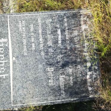 HERBST Hendrik Johannes Petrus &amp; Martha Magrieta DIEVENHAGEN 1872-1949