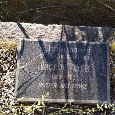 K - Surnames :: Vanne - K