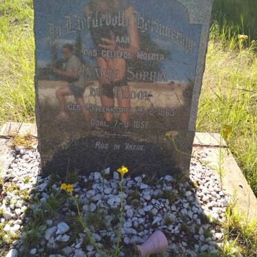 PLOOY Jaatje Sophia, du nee STEENKAMP 1863-1952