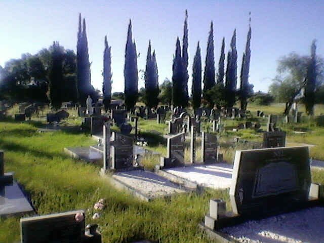 2. Overview of the Boshof Cemetery