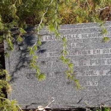 Free State, BOTHAVILLE district, Lambrechtsfontein 273, farm cemetery