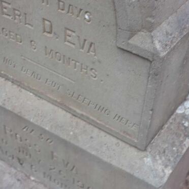 EVA Erl D. :: EVA Ross -1904