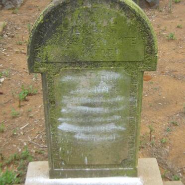 GROBLER Catharina Anna Johanna nee DE WET 1869-1941