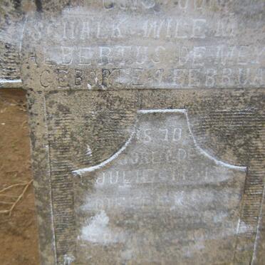 MEYER Schalk Willem Albertus, de 1870-1951