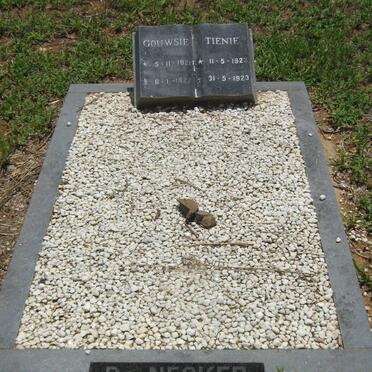 NECKER Gouwsie, de 1921-1922 :: DE NECKER Tienie 1923-1923