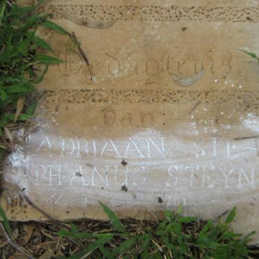 STEYN Adriaan Stephanus 1879-1943