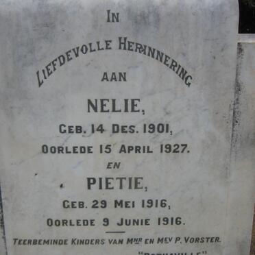 VORSTER Nelie 1901-1927 :: VORSTER Pietie 1916-1916