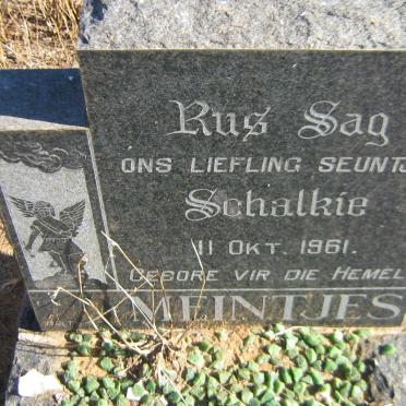 MEINTJES Schalkie 1961-1961