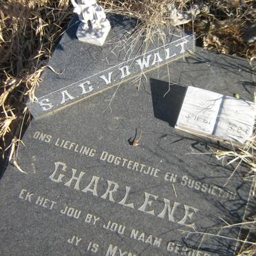 WALT S.A.C. Charlene, van der 1981-1983