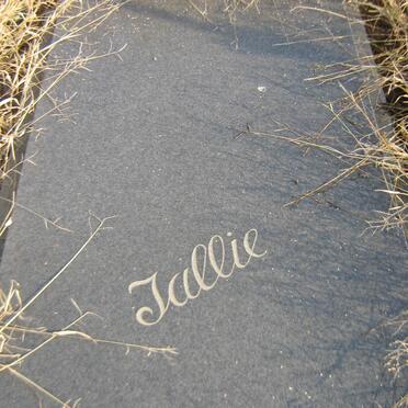 ? Tallie