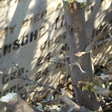 ROODT Rensche Maria nee COETZEE 1872-1934